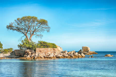 Remarkable  view of  Palombaggia and Tamaricciu beaches. Famous travel destination. Location: Porto-Vecchio, Corsica, France, Europeの写真素材
