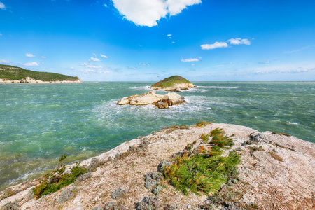 Above the cliffs at the coastline of Vieste. Summer rocky sea coast Baia Di Campi Vieste on the Gargano peninsula, Puglia, Italyの写真素材