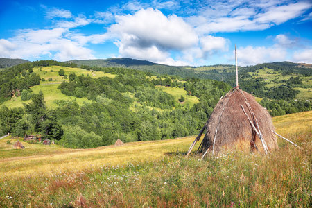 Amazing countryside landscape of romanian village Rogojel with forested hills and haystacks on a grassy rural field in mountains. Location: Rogojel, Cluj County, Romania, Europeの写真素材