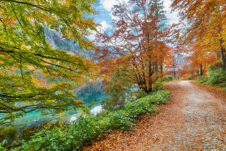 Breathtaking autumn scene of Vorderer Langbathsee lake. Popular travel destination. Location: Vorderer Langbathsee, Salzkammergut region, Upper Austria, Austria, Europe.の写真素材