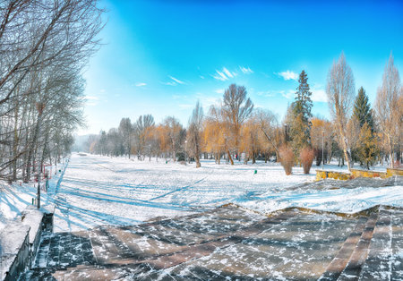 Breathtaking  landscape in city park with snowy trees and lots of snow.  Winter landscapeの写真素材