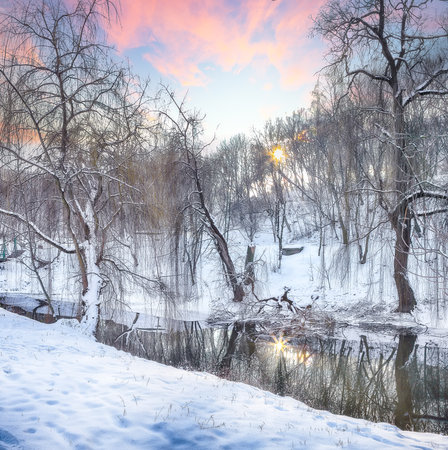 Outstanding landscape in city park with snowy trees and beautiful reflection in frozen river.  Winter landscapeの写真素材