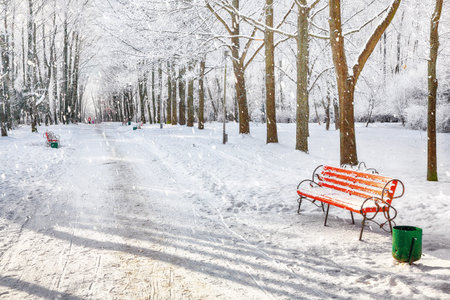 Majestic view of park bench and trees covered by heavy snow. Lots of snow. Winter landscapeの写真素材