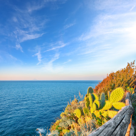 Awesome spring view on the the cape Milazzo panorama of nature reserve.  Location: cape Milazzo, Tyrrhenian sea, Island Sicilia, Italy, Europeの写真素材