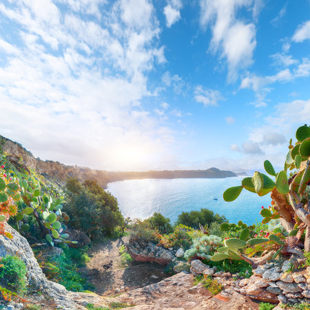Stunning spring view on the the cape Milazzo panorama of nature reserve Piscina di Venere.  Location: cape Milazzo, Tyrrhenian sea, Island Sicilia, Italy, Europeの写真素材