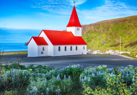 Impressive view of Vikurkirkja christian church in blooming lupine flowers. Scenic image of  popular tourist destination.Location: Vik village in Myrdal Valley, Iceland, Europe.の写真素材