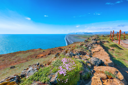 Impressive View of Kirkjufjara black sand beach from Dyrholaey promontory on Atlantic South Coast.
Location: Dyrholaey promontory, Vik I Myrdal village, Katla Geopark, Iceland, Europeの写真素材