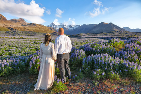 Ramarkable view of Typical Icelandic landscape with field of blooming lupine flowers next to the mountains and couple standing. Location: Skaftafell National Park, Iceland, Europe.の写真素材