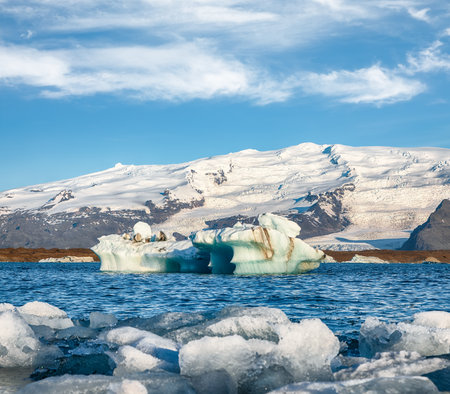 Impressive floating icebergs in Jokulsarlon glacier lagoon. Location: Jokulsarlon glacial lagoon, Vatnajokull National Park, south Iceland, Europeの写真素材