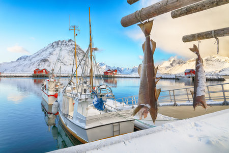 Unbelivable winter sunrise over Ramberg village and harbour. Moored fishing ships in port. Location: Ramberg, Flakstadoya island, Lofoten; Norway, Europeの写真素材