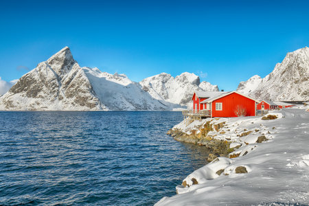 Traditional Norwegian  houses on the shore of  Reinefjorden on Toppoya island and snowy mountaines in background .  Location: Toppoya island, Lofoten; Norway, Europeの写真素材