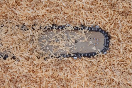 Background with softwood shavings and chainsaw blade with sharp teeth.の写真素材