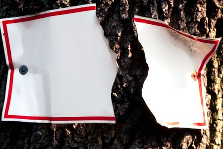 Sign torn apart by growing tree trunk.  Empty copyspace for your message.の写真素材