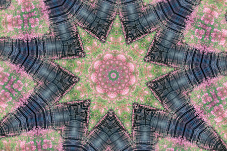 Kaleidoscopic altered image of fireweed (Epilobium angustifolium) in burned forest resembling a...