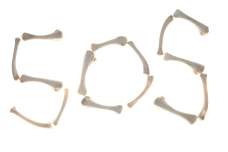 SOS written (laid-out) with old bleached-out bones