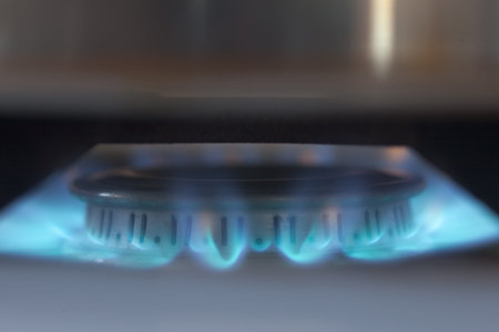 Lit propane burner throwing blue flames that heat steel pot