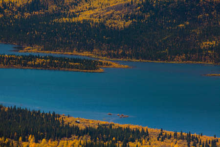 Fall-colored boreal forest at shores of Fish Lake, Yukon Territory, Canada.の写真素材
