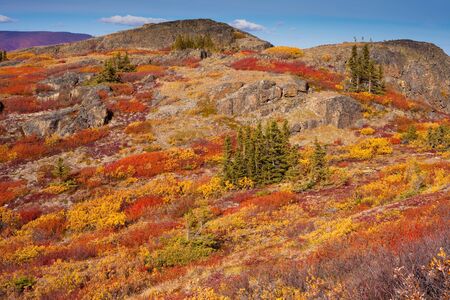 Fall-colored alpine tundra, Yukon Territory, Canada.の写真素材