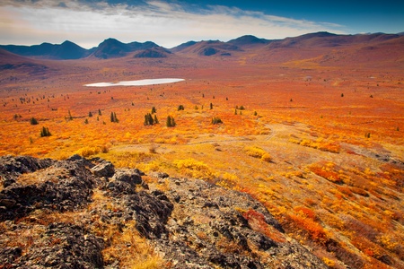 Fall-colored alpine tundra, Yukon Territory, Canada.の写真素材
