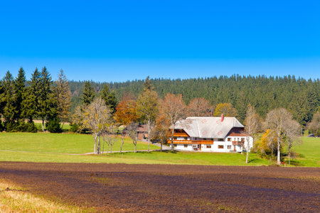 Traditional style farmhouse architecture in Black Forest, rural Germanyのeditorial素材