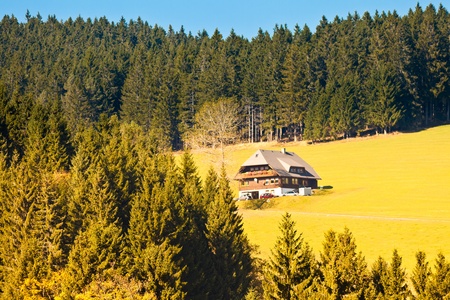 Farmland, farmhouses with chapel and forested hills in Black Forest, rural Germany.の写真素材