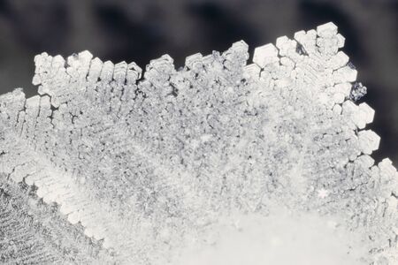 Close-up of filigrane ice crystals of real snow flake の写真素材