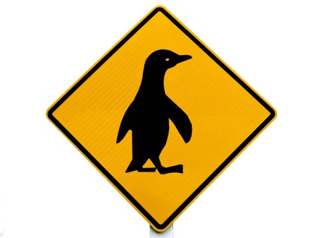 New Zealand Road Sign: Attention Blue Penguin Crossing isolated on white backgroundの写真素材