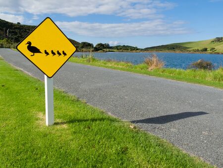 Road sign warning to watch out for ducks and ducklings crossing the road alongside a road running past a lake and waterfowl habitat in countrysideの写真素材