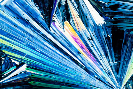 Colorful apearence of crystals of benzoic acid, a food preserving additive, in polarized light.