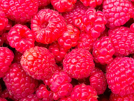 Tasty juicy ripe raspberries background texture pattern