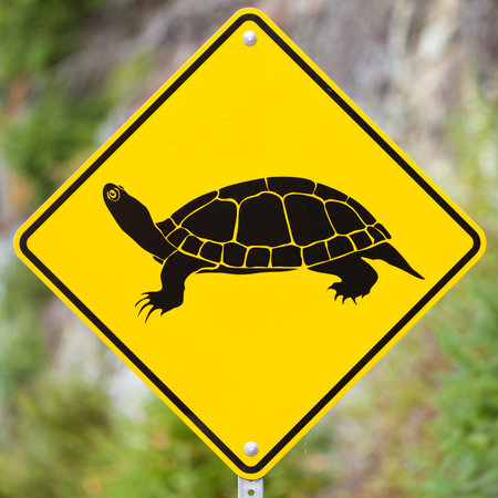 Animal Road Sign - Attention Turtles Crossing - on blurry forest backgroundの写真素材