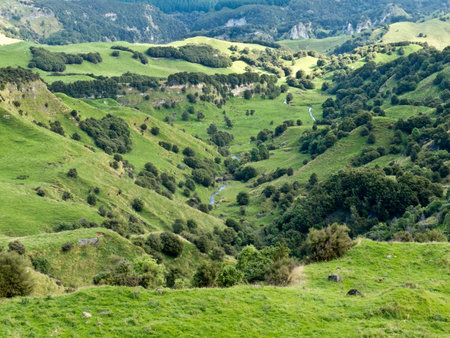 Scenic landscape of rural farmland pasture in hill country of Hawke's Bay district on North Island...