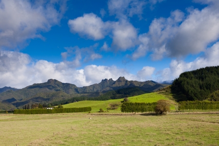 Scenic farmland framed by rugged mountains landscape on Coromandel Peninsula  North Island of New Zealandの写真素材