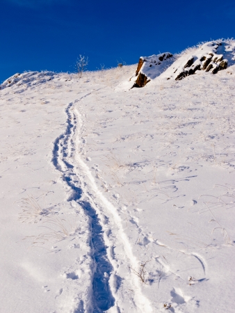 Snow-shoe track prints in deep powder leading up hillside slope pristine winter wonderland wildernessの写真素材
