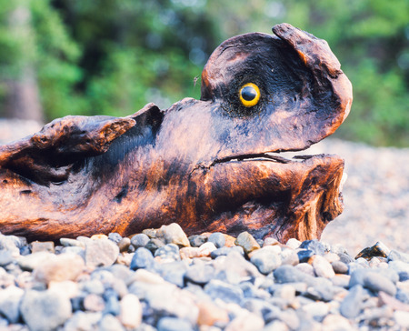 Fun fantasy driftwod chimera on shore gravel with sparkling orange eyeの写真素材