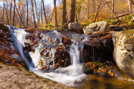 Rose River in fall forest of Shenandoah National Park, Virginia, VA, USAの写真素材