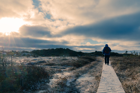 Person winter hiking on wooden boardwalk through frozen bog landscape of Newfoundland, NL, Canadaの写真素材