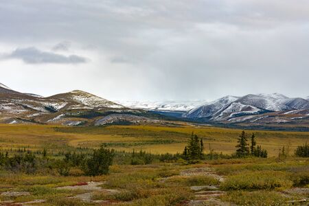 Autumn fall in arctic tundra around Richardson Mountains at arctic circle, Yukon Territory, YT, Canadaの写真素材
