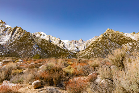 Dry Mojave Desert vegetation of Owens Valley in front of snowy Mount Whitney Sierra Nevada near Lone Pine, California, USAの写真素材
