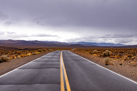 Wet asphalt pavement of empty highway road through Southern California desert landscape on rainy winter dayの写真素材