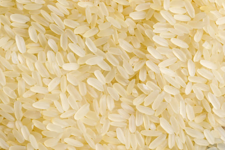rice raw food ingredient texture macro close up detailedの写真素材
