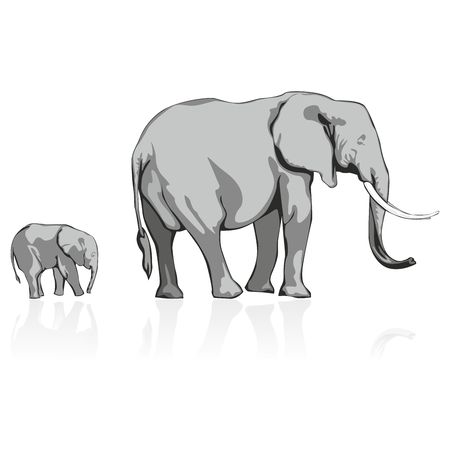 fully editable   illustration of wild elephantsのイラスト素材