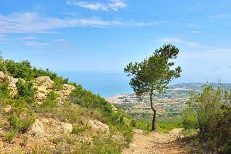 Rural landscape with mountain view and trees near town Alcossebre in Spain  Sunny day の写真素材
