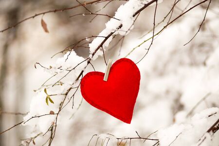 textile red heart on snowy tree brunch in winterの写真素材