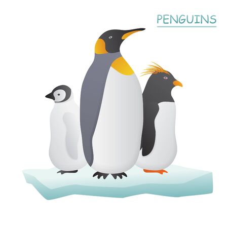 Penguins on ice flow illustration.のイラスト素材
