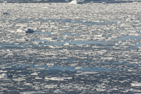 Southern Ocean off the coast of Antarctica with fine ice and small icebergs.