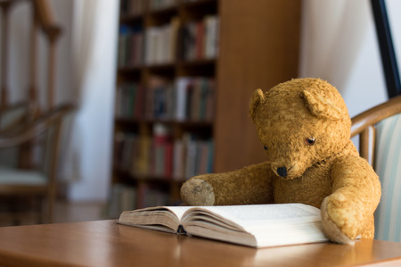 Teddy bear reads a book in the libraryの写真素材