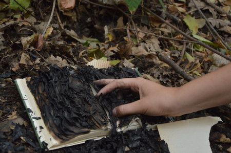 Hand tear apart the remains of a burned book