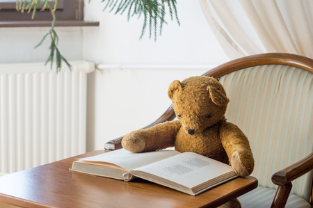 Teddy bear reads a book in the library - studying sceneの写真素材