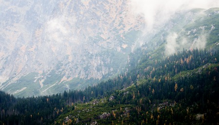Close up view of the cliffs and the forest in the High Tatrasの写真素材